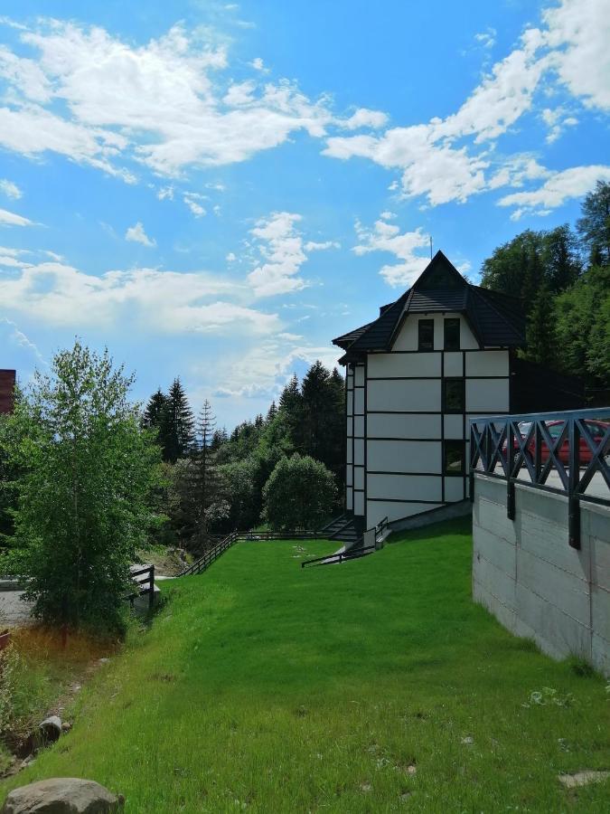 Vila Irina Kopaonik - Apartman Jovana Eksteriør billede