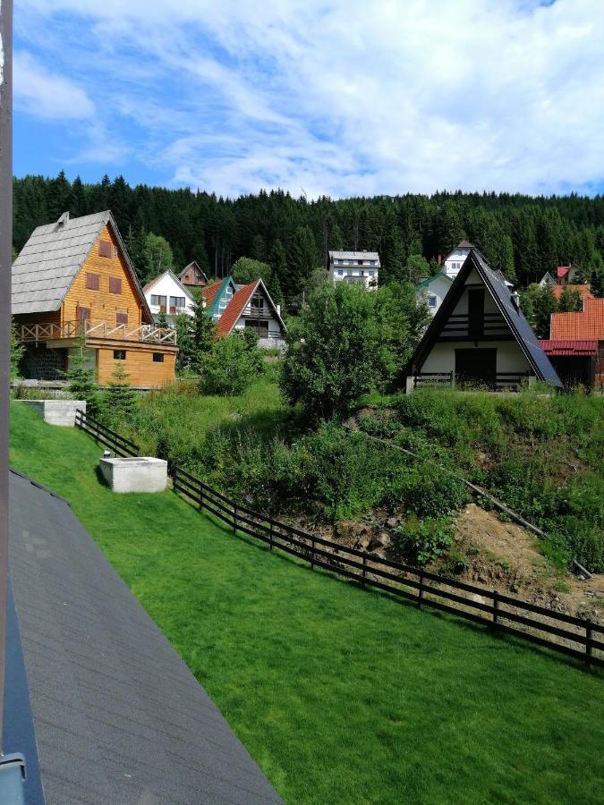 Vila Irina Kopaonik - Apartman Jovana Eksteriør billede