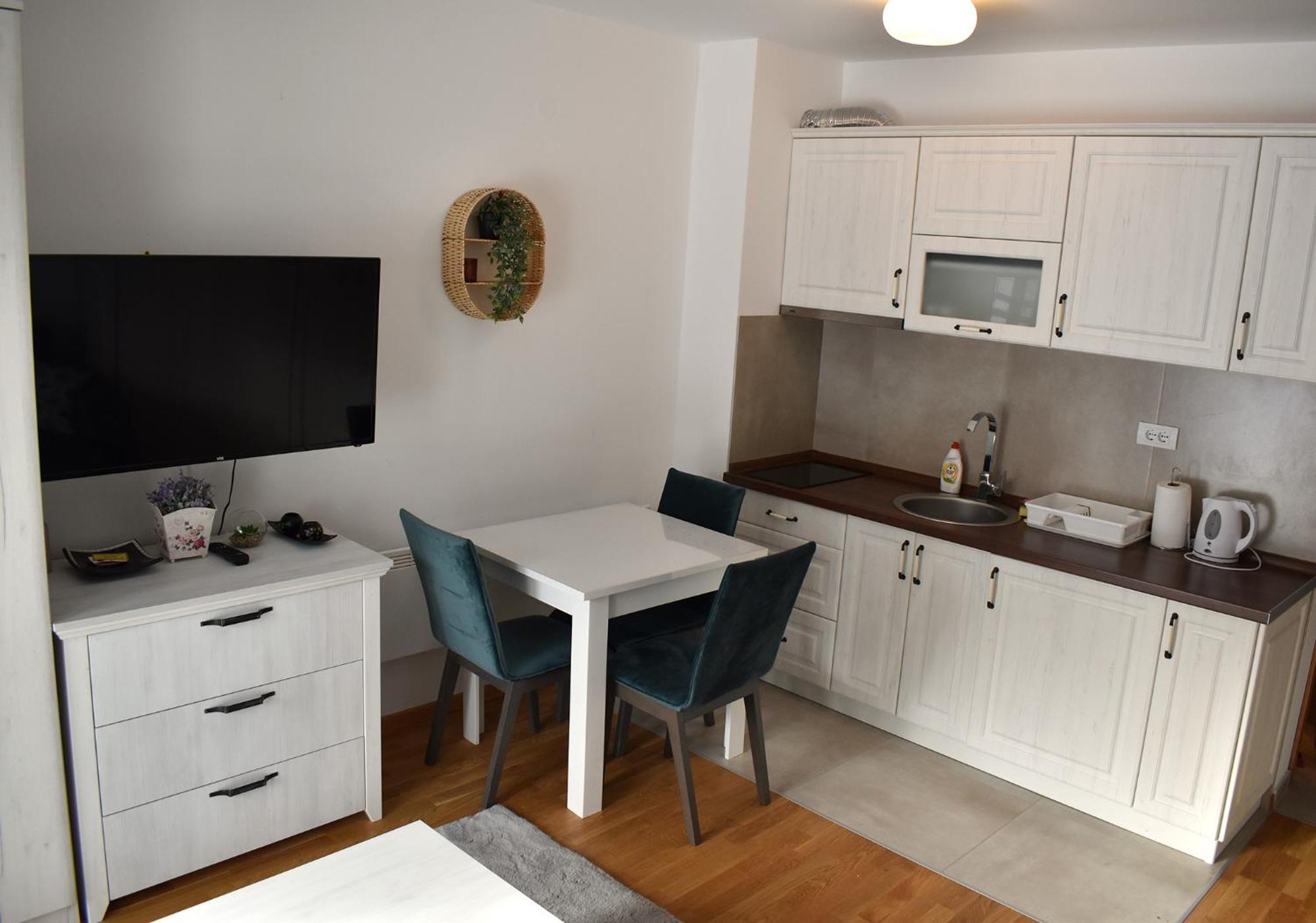 Vila Irina Kopaonik - Apartman Jovana Eksteriør billede
